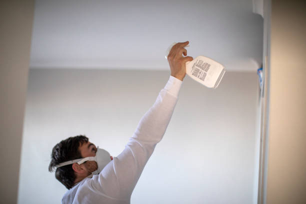 Best Emergency Mold Remediation in Blacksburg, VA