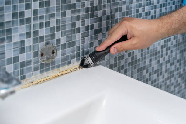 Best Post-Flood Mold Remediation in Blacksburg, VA