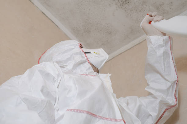 Trusted Blacksburg, VA Mold Remediation Experts